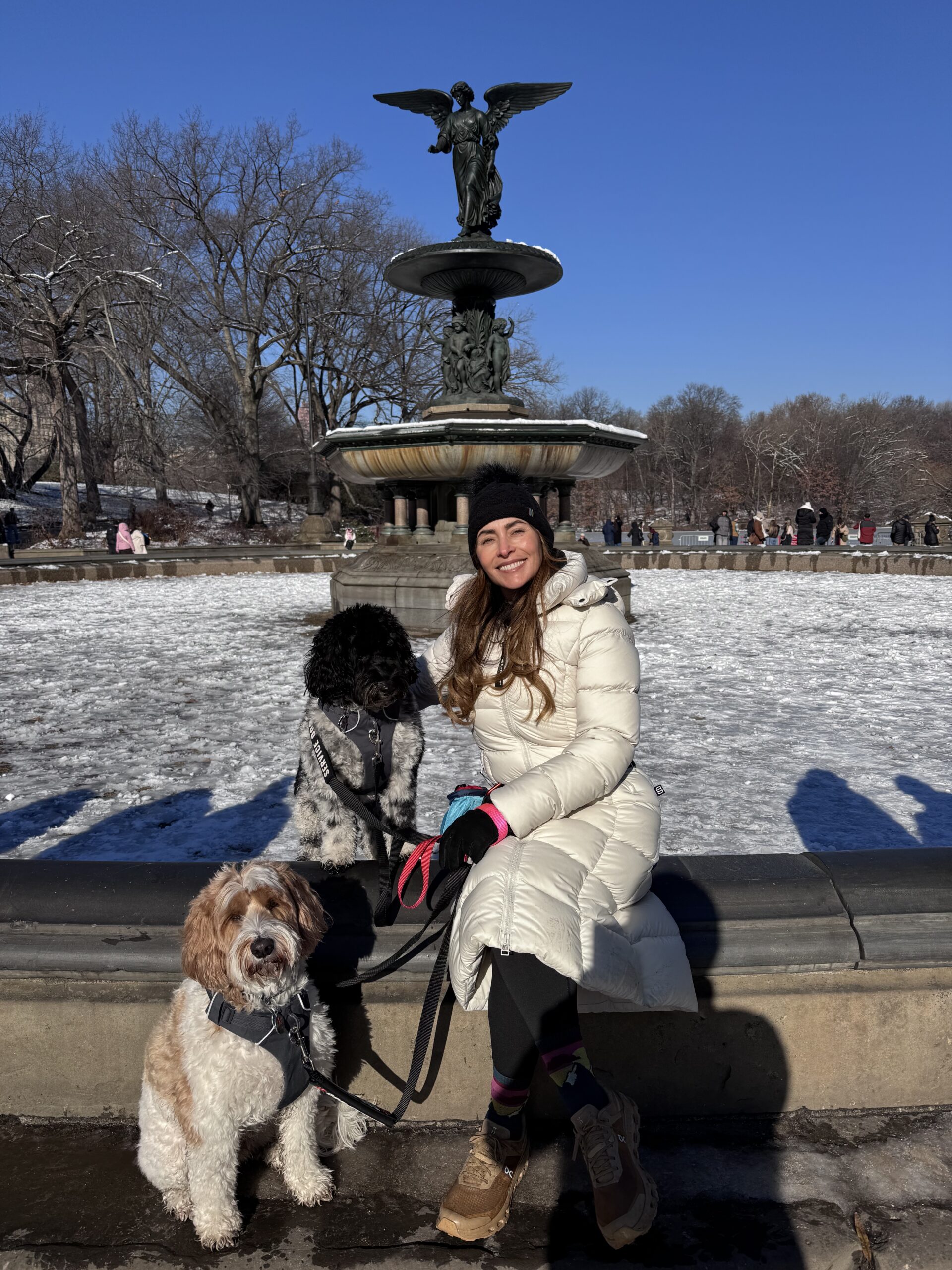 Danielle Alvarez Greer sitting in Central Park near the Bethesda Fountain in winter with her two dogs during a Christmas trip to New York City