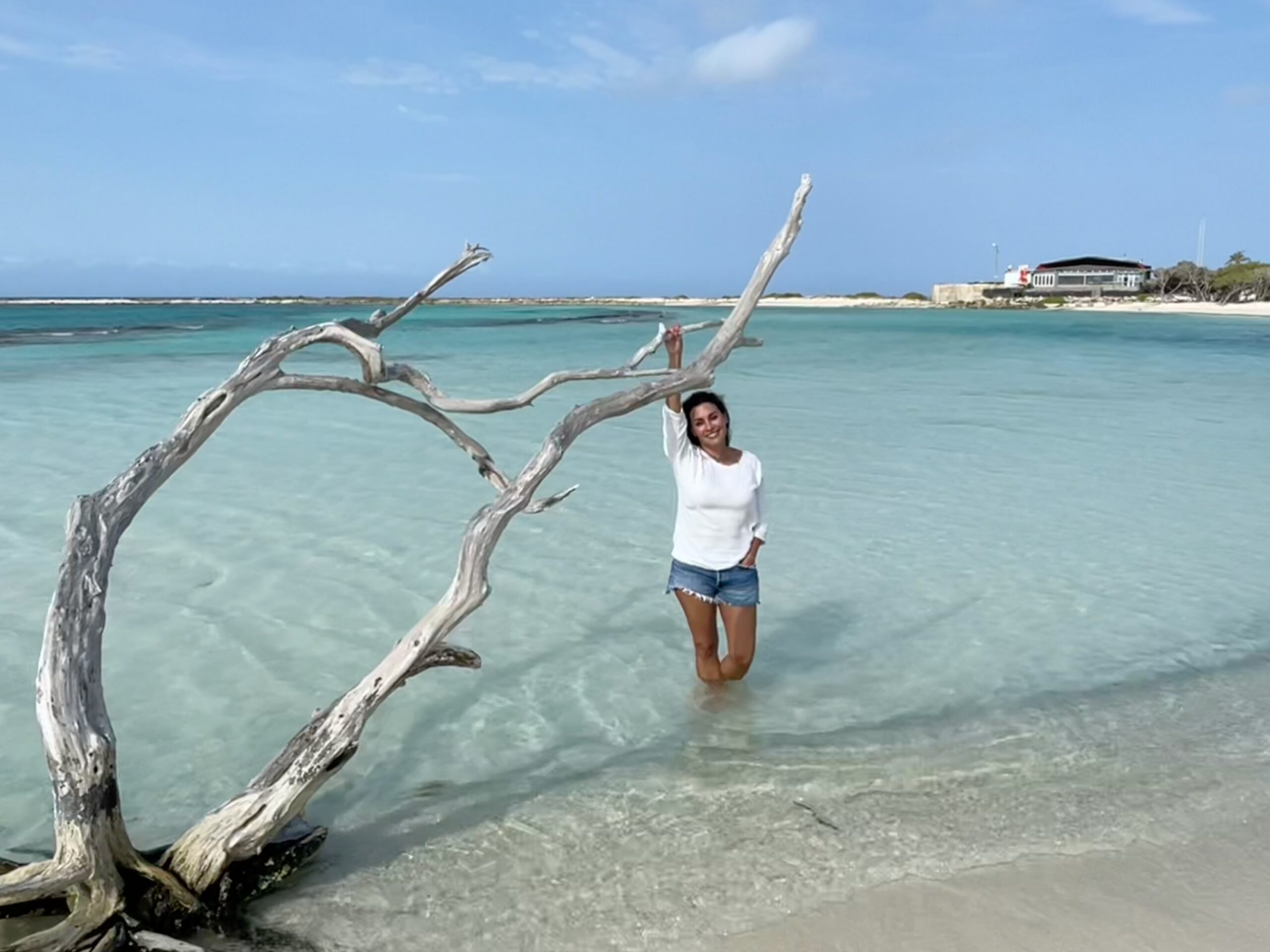 Danielle Alvarez Greer standing beside weathered driftwood in the clear waters of Baby Beach, Aruba, reflecting on healing, identity, and rediscovering who God created us to be.